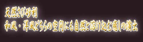 �V�R���э��� �a���E�m���ǂ���̋�Ԃɂ����R�Ɨn�����ޖ����̉��o