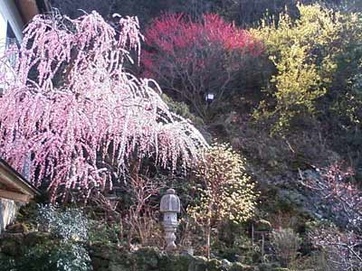 ����⌺��